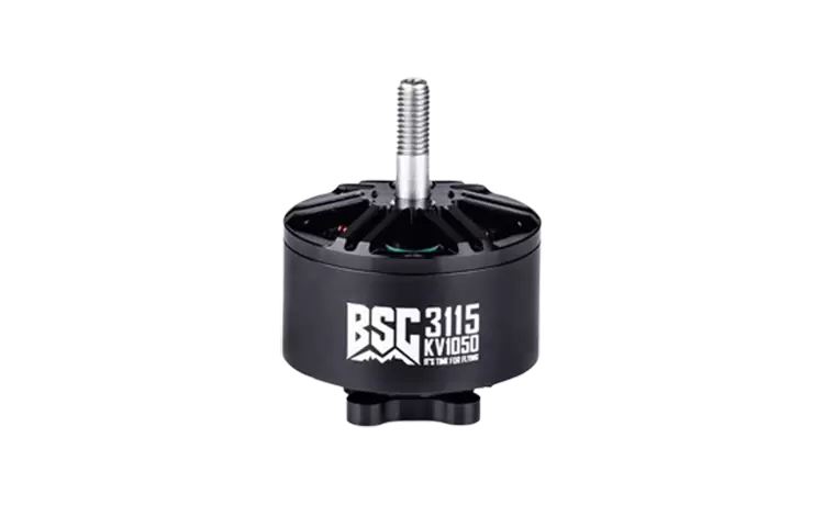 BSC3115