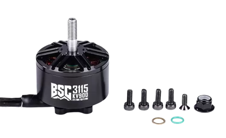 BSC3115