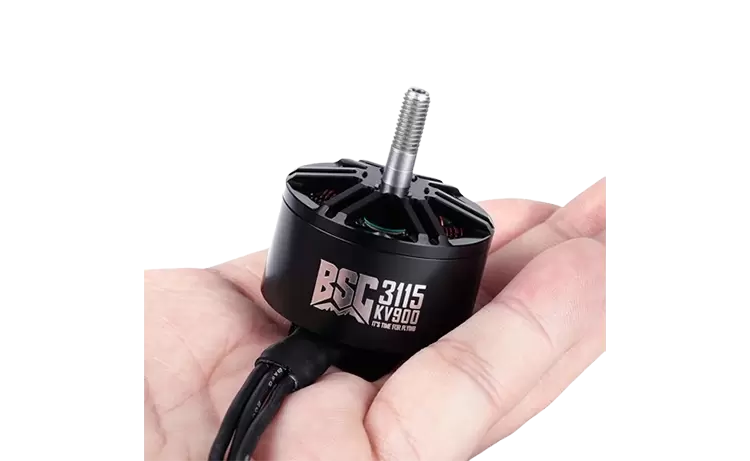 BSC3115