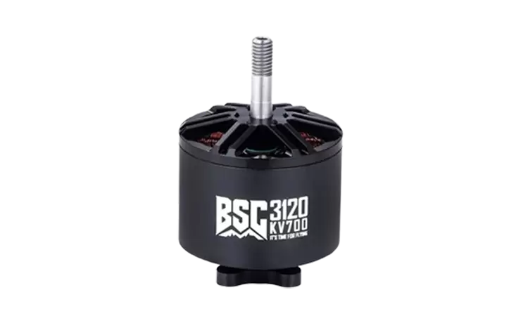 BSC3120