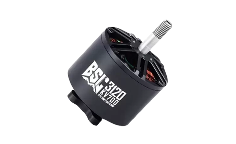 BSC3120