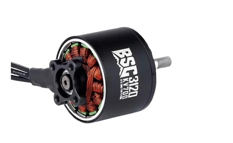 BSC3120