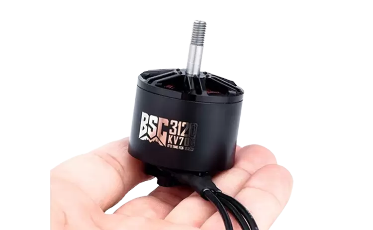 BSC3120